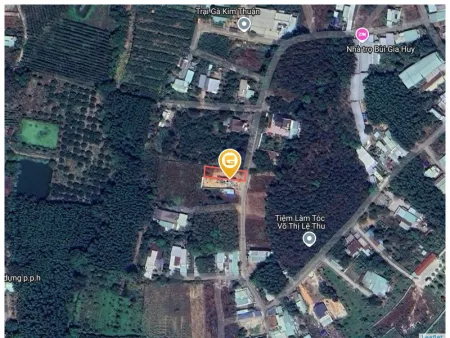Bất động sản tại Bình Dương - ảnh 1