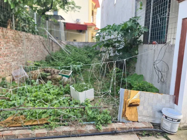 Bất động sản tại Hải Phòng - ảnh 1