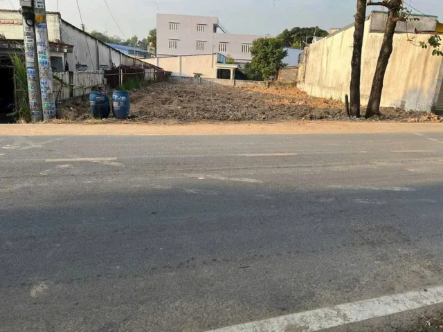Bất động sản tại TP. Hồ Chí Minh - ảnh 1