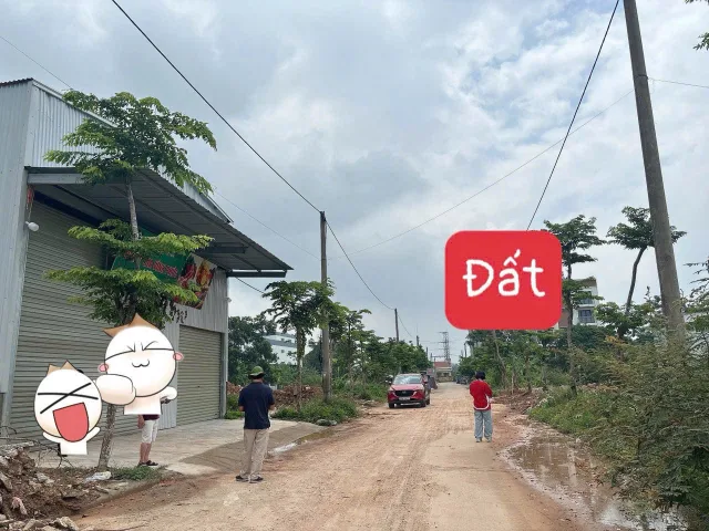 Bất động sản tại Phú Thọ - ảnh 1
