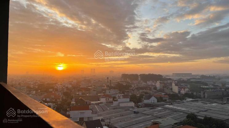 Bất động sản tại Bình Dương - ảnh 1