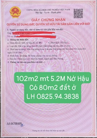 Bất động sản tại Hải Phòng - ảnh 1