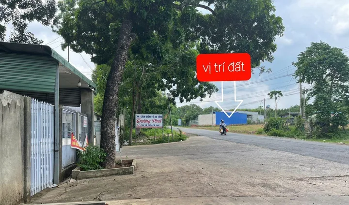 Bất động sản tại Bình Dương - ảnh 1
