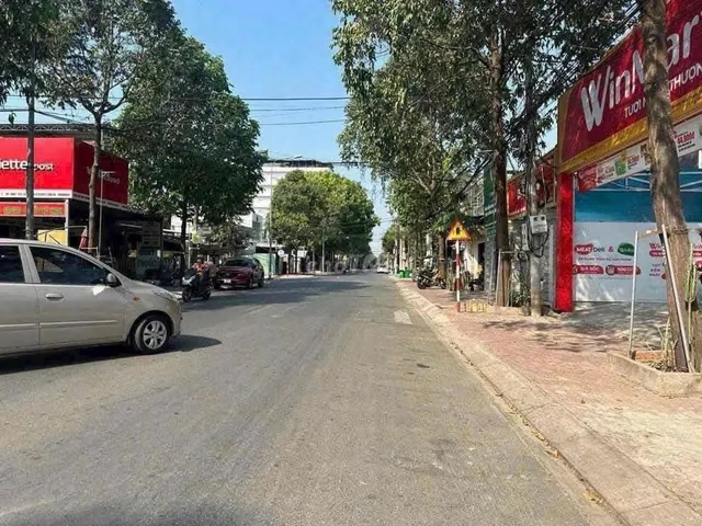 Bất động sản tại Bình Dương - ảnh 1