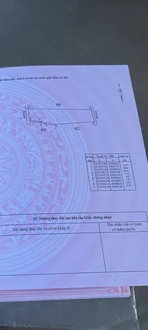Bất động sản tại Lâm Đồng - ảnh 1
