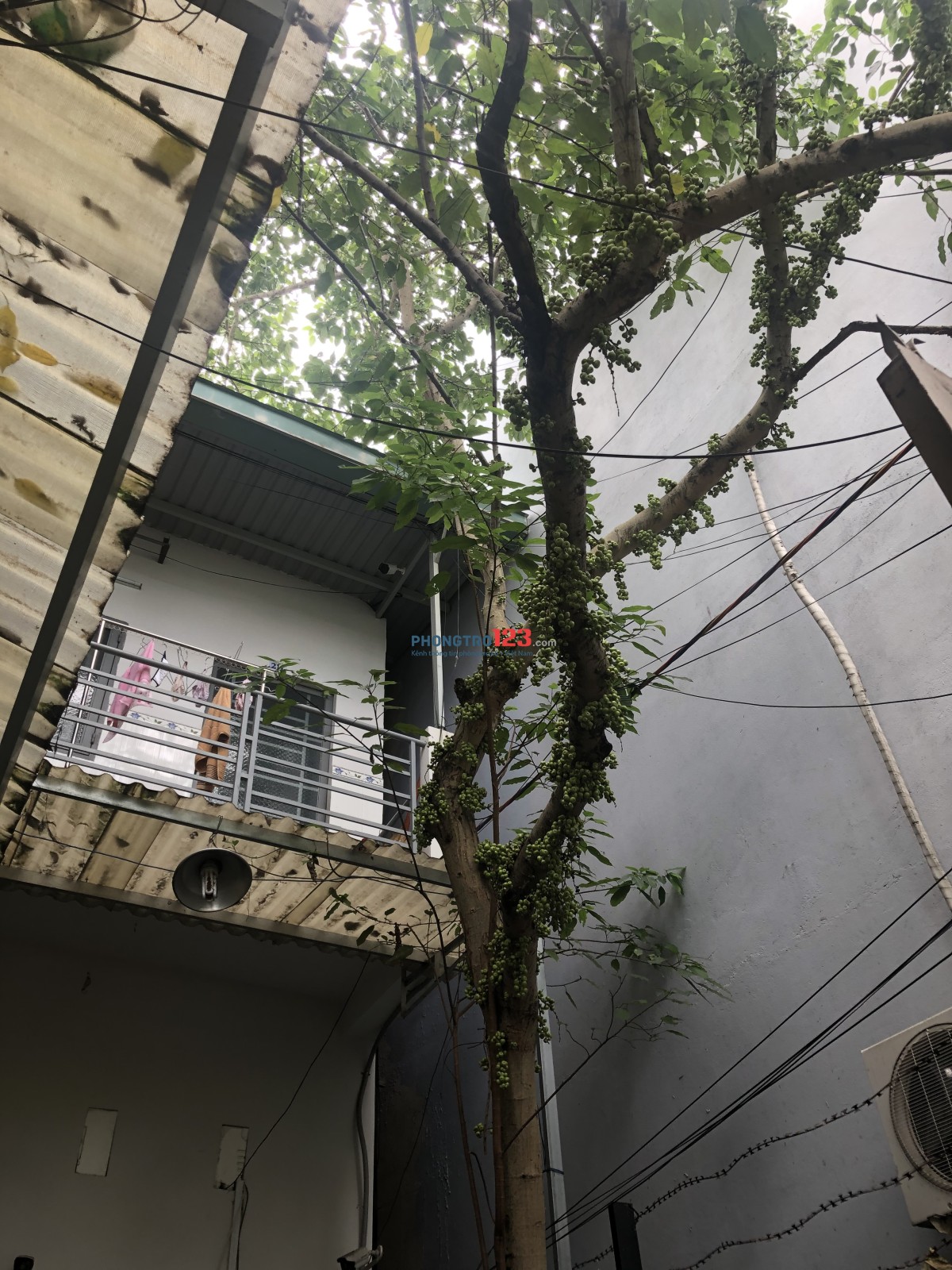 Bất động sản tại TP. Hồ Chí Minh - ảnh 1