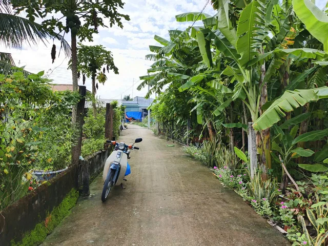 Bất động sản tại Tây Ninh - ảnh 1