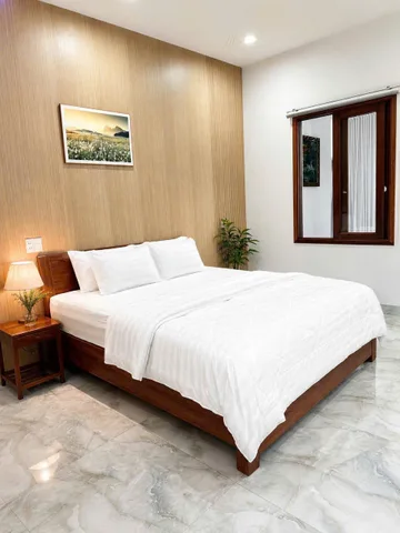 Bất động sản tại Đà Nẵng - ảnh 1