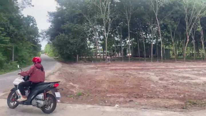 Bất động sản tại Đồng Nai - ảnh 1