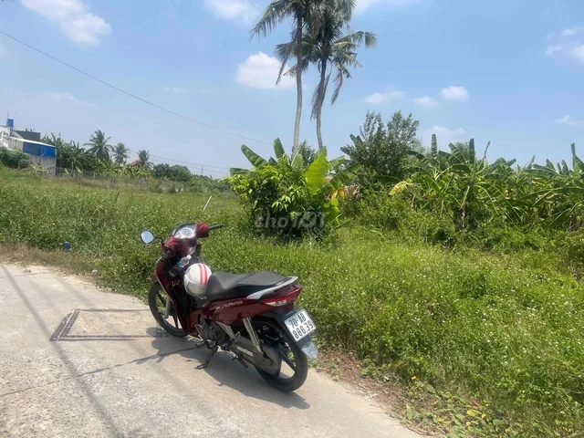 Bất động sản tại Long An - ảnh 1