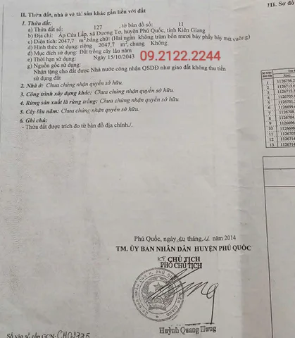 Bất động sản tại An Giang - ảnh 1