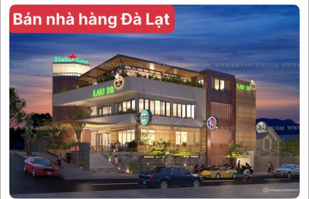 Bất động sản tại Lâm Đồng - ảnh 1