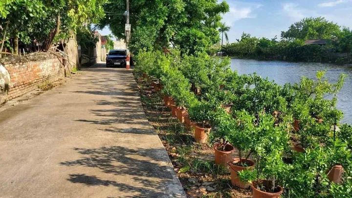 Bất động sản tại Hưng Yên - ảnh 1