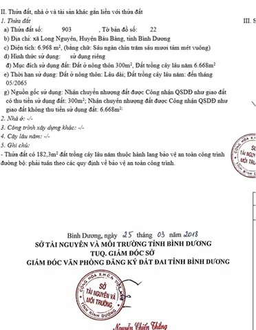 Bất động sản tại Bình Dương - ảnh 1