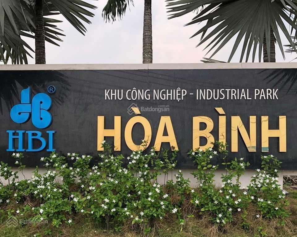 Bất động sản tại Long An - ảnh 1