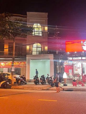 Bất động sản tại Đà Nẵng - ảnh 1