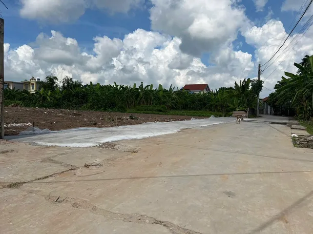 Bất động sản tại Hải Phòng - ảnh 1