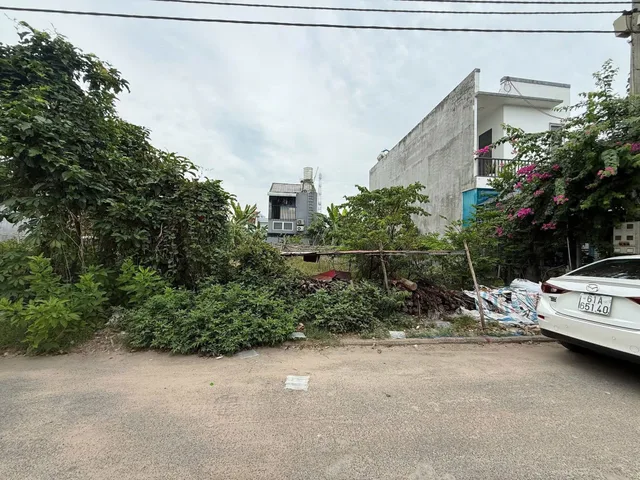 Bất động sản tại Bình Dương - ảnh 1