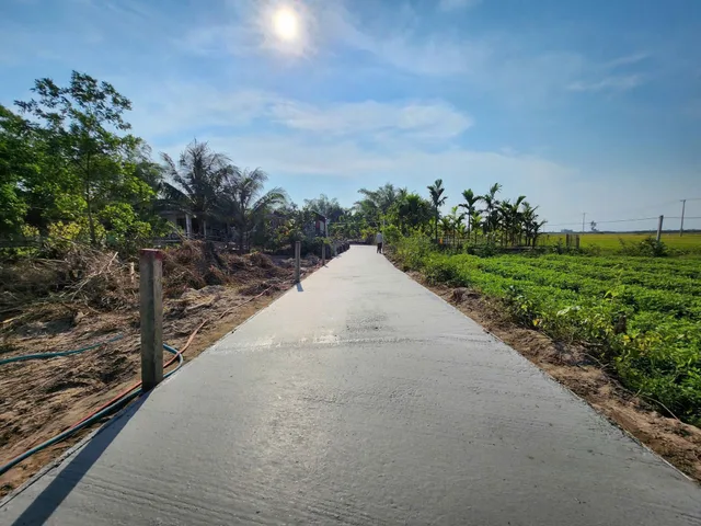 Bất động sản tại Đà Nẵng - ảnh 1