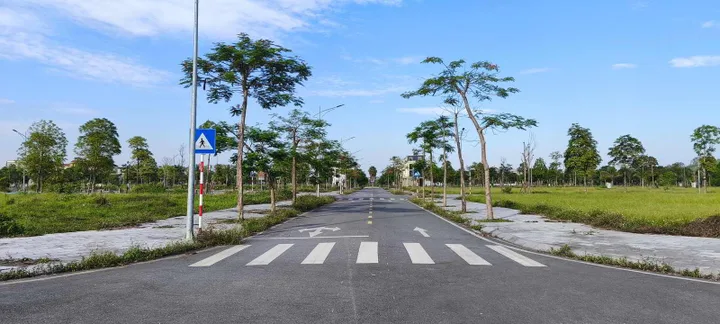 Bất động sản tại Phú Thọ - ảnh 1