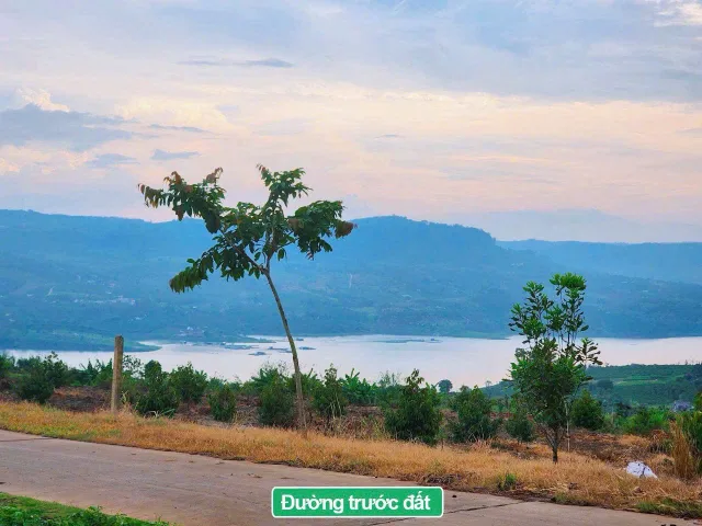 Bất động sản tại Lâm Đồng - ảnh 1