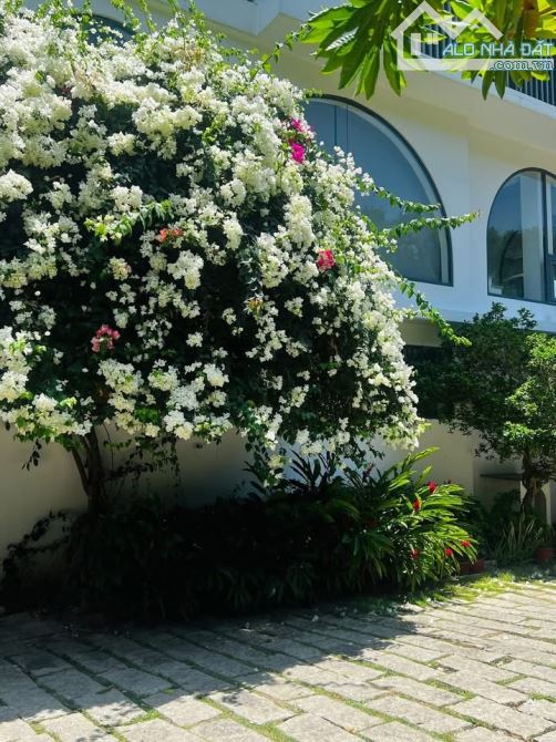 Bất động sản tại Bà Rịa - Vũng Tàu - ảnh 1