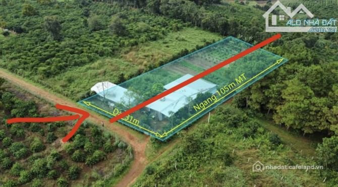 Bất động sản tại Gia Lai - ảnh 1