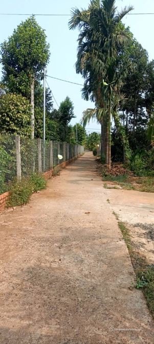 Bất động sản tại Đắk Lắk - ảnh 1