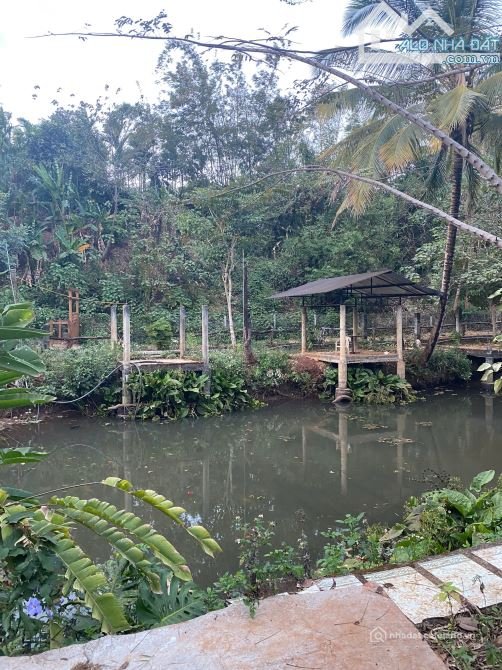 Bất động sản tại Đắk Lắk - ảnh 1
