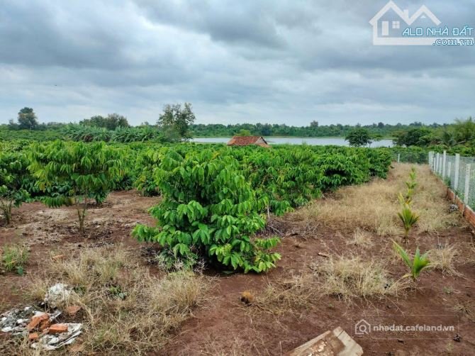 Bất động sản tại Đắk Lắk - ảnh 1