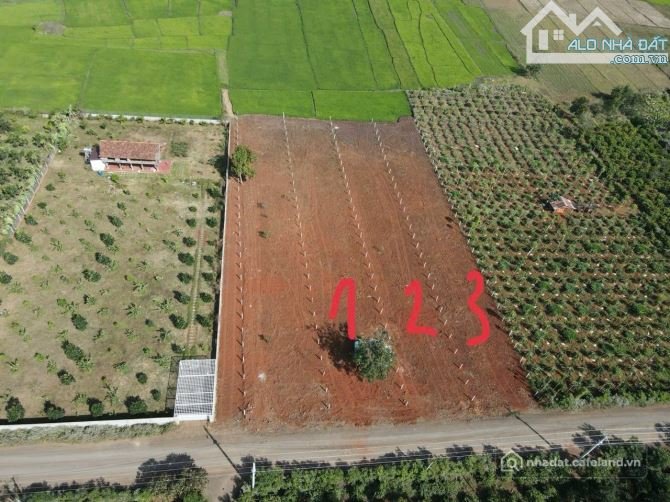 Bất động sản tại Đắk Lắk - ảnh 1