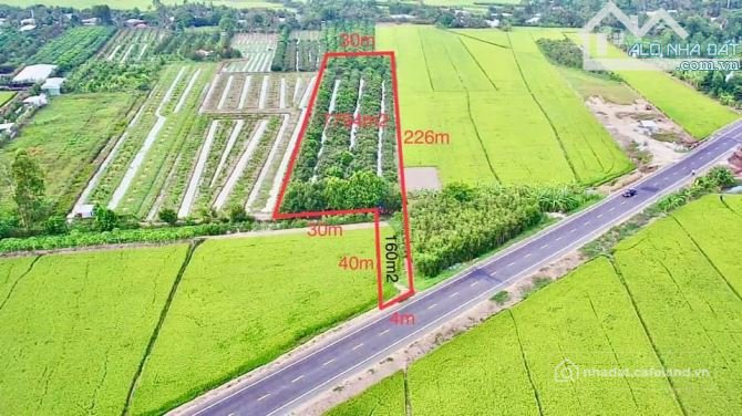 Bất động sản tại Cần Thơ - ảnh 1