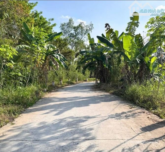 Bất động sản tại Cần Thơ - ảnh 1