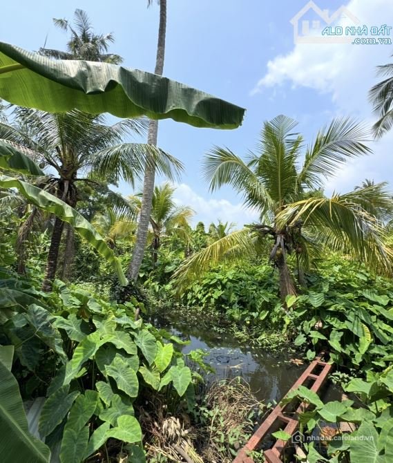 Bất động sản tại Cần Thơ - ảnh 1