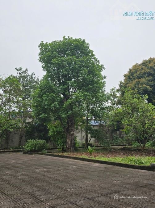 Bất động sản tại Thái Nguyên - ảnh 1