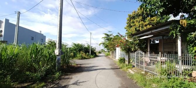 Bất động sản tại Đồng Tháp - ảnh 1