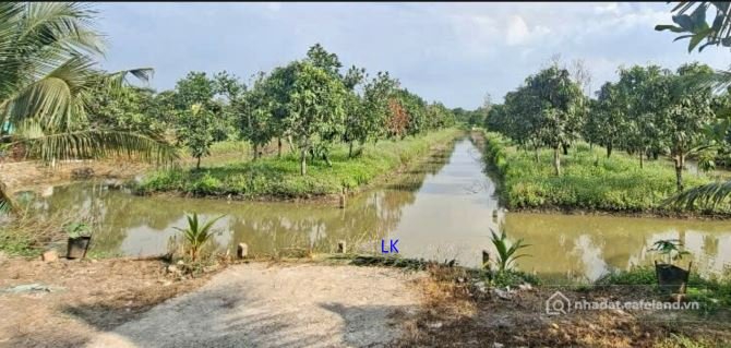 Bất động sản tại Đồng Tháp - ảnh 1