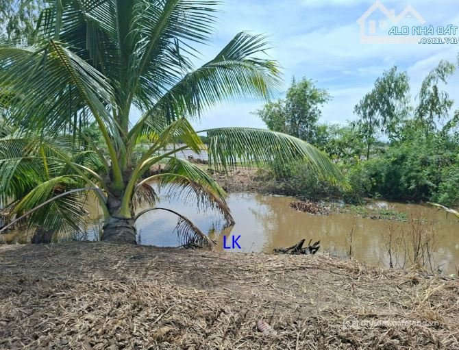 Bất động sản tại Đồng Tháp - ảnh 1
