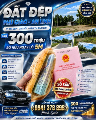 Bất động sản tại Bình Dương - ảnh 1
