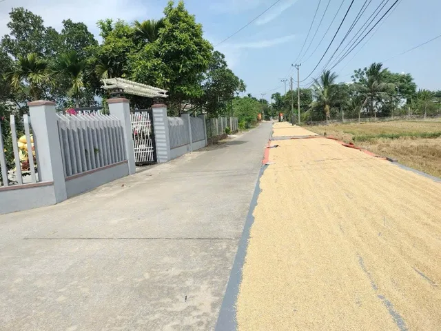 Bất động sản tại Đà Nẵng - ảnh 1