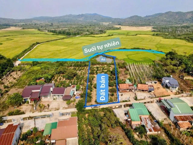 Bất động sản tại Đắk Lắk - ảnh 1