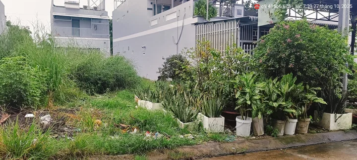 Bất động sản tại Kiên Giang - ảnh 1