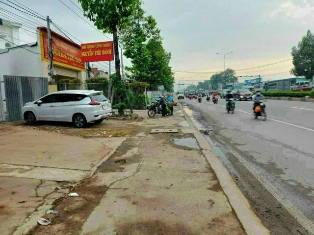 Bất động sản tại Bình Dương - ảnh 1