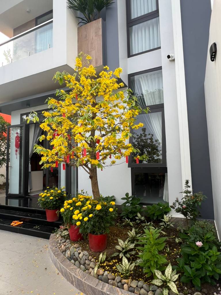 Bất động sản tại Long An - ảnh 1