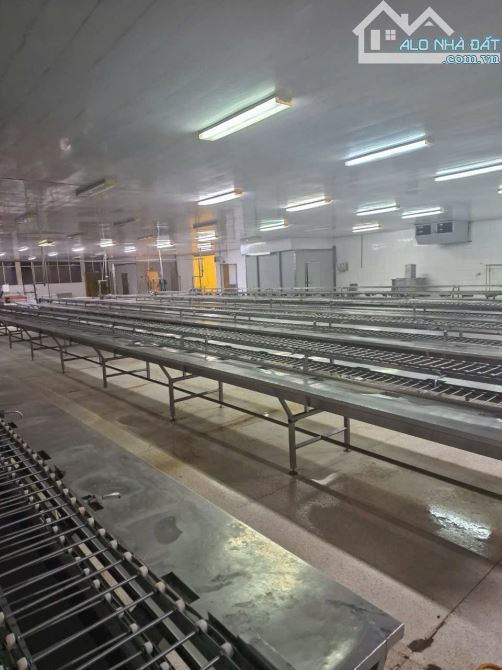 Bất động sản tại Tiền Giang - ảnh 1