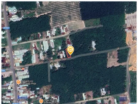 Bất động sản tại Bình Dương - ảnh 1