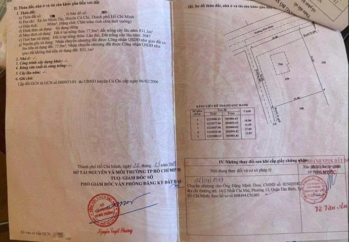 Bất động sản tại TP. Hồ Chí Minh - ảnh 1
