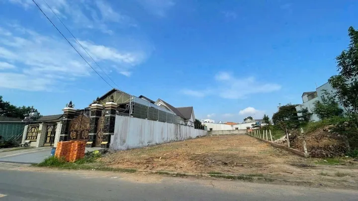 Bất động sản tại Bình Dương - ảnh 1