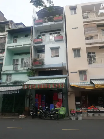Bất động sản tại TP. Hồ Chí Minh - ảnh 1