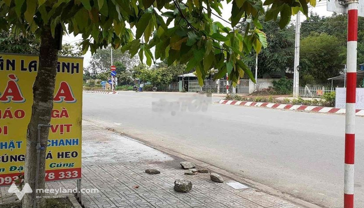 Bất động sản tại Bình Dương - ảnh 1